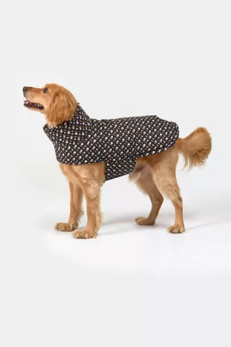 Dog Padded kutyakabát