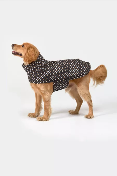 Dog Padded kutyakabát
