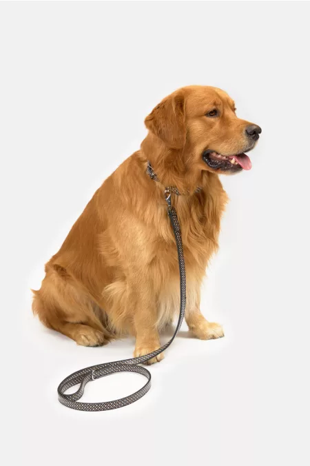 Dog Leash póráz