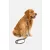 Dog Leash póráz