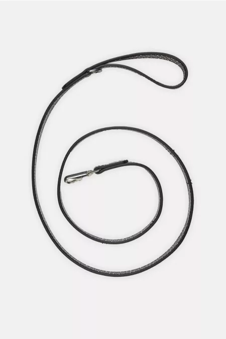 Dog Leash póráz